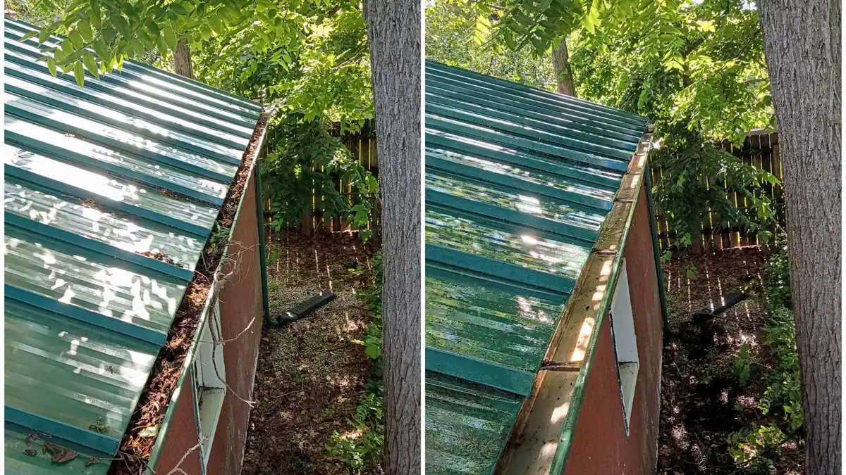 Gutters cleaned and downspouts flushed, before and after, in Columbus Ohio